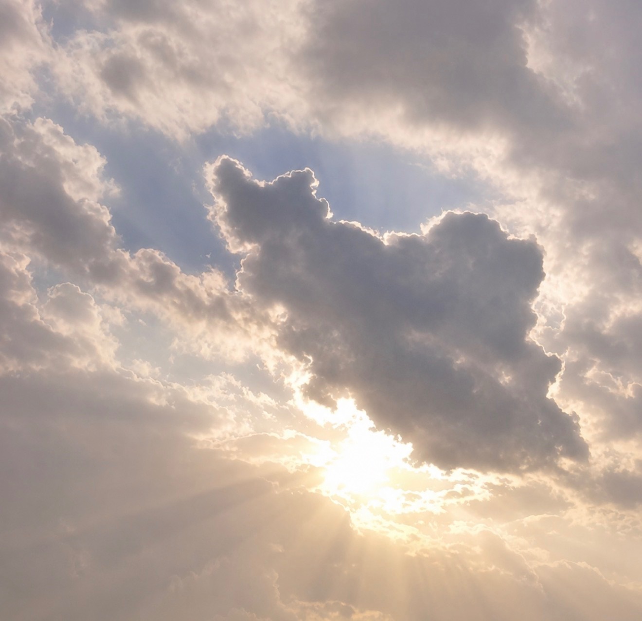 blog-banner