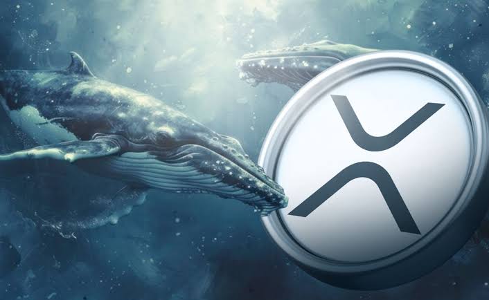 نهنگها به XRP هجوم آوردند؛ قیمت در مرز ۱ دلار
